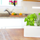Image for article titled The New Click & Grow Herb Garden Does Everything But Harvest Itself